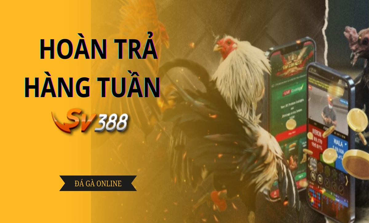 Chế độ hoàn trả tiền khi anh em  cá cược thua